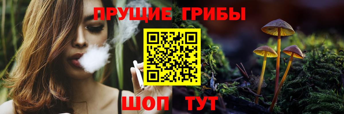 Галлюциногенные грибы Magic Shrooms Заволжье